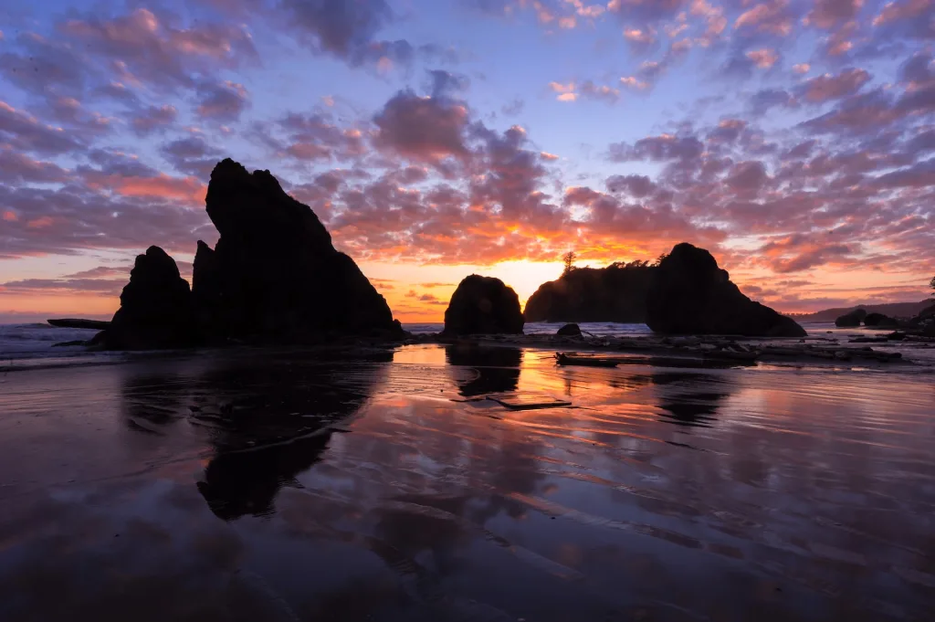 Rialto Beach Hike Washington State